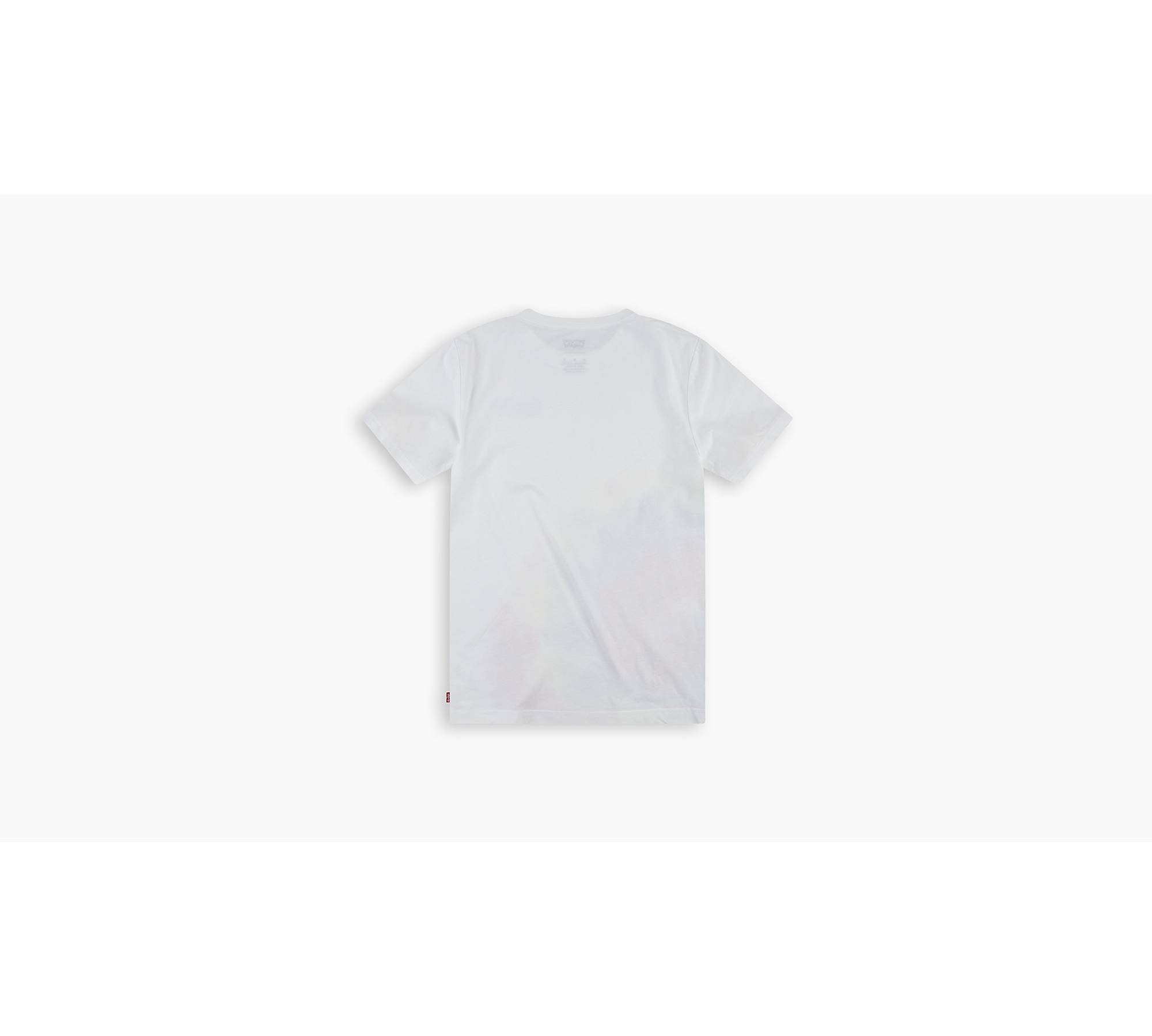 Short Sleeve Graphic T-shirt Big Boys S-xl - Multi-color | Levi's® US