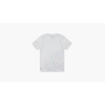 Short Sleeve Graphic T-Shirt Big Boys S-XL 4