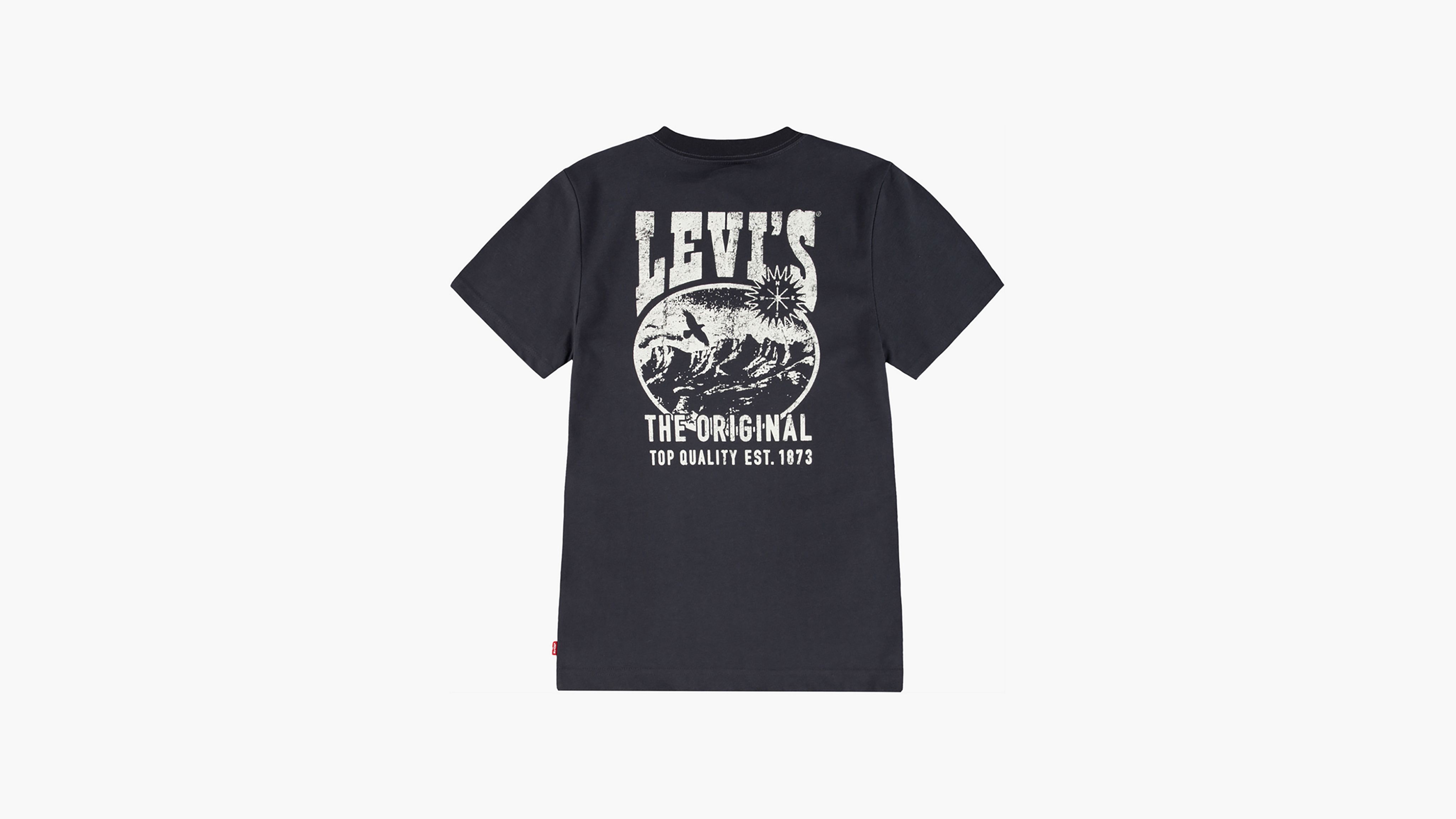 Levi's Valley View Tee Little Boys 4-7x T-shirt 5