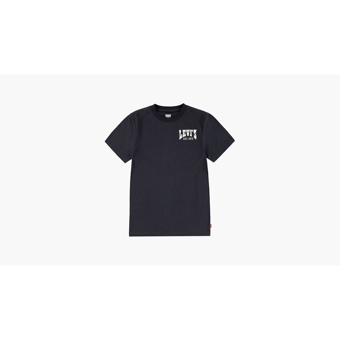 Levi's Valley View Tee Little Boys 4-7x T-shirt 5