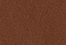 Medium Brown - Marron - Ceinture Seine