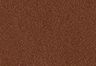 Medium Brown - Marron - Ceinture Seine