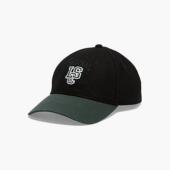 Collegiate Hat 1