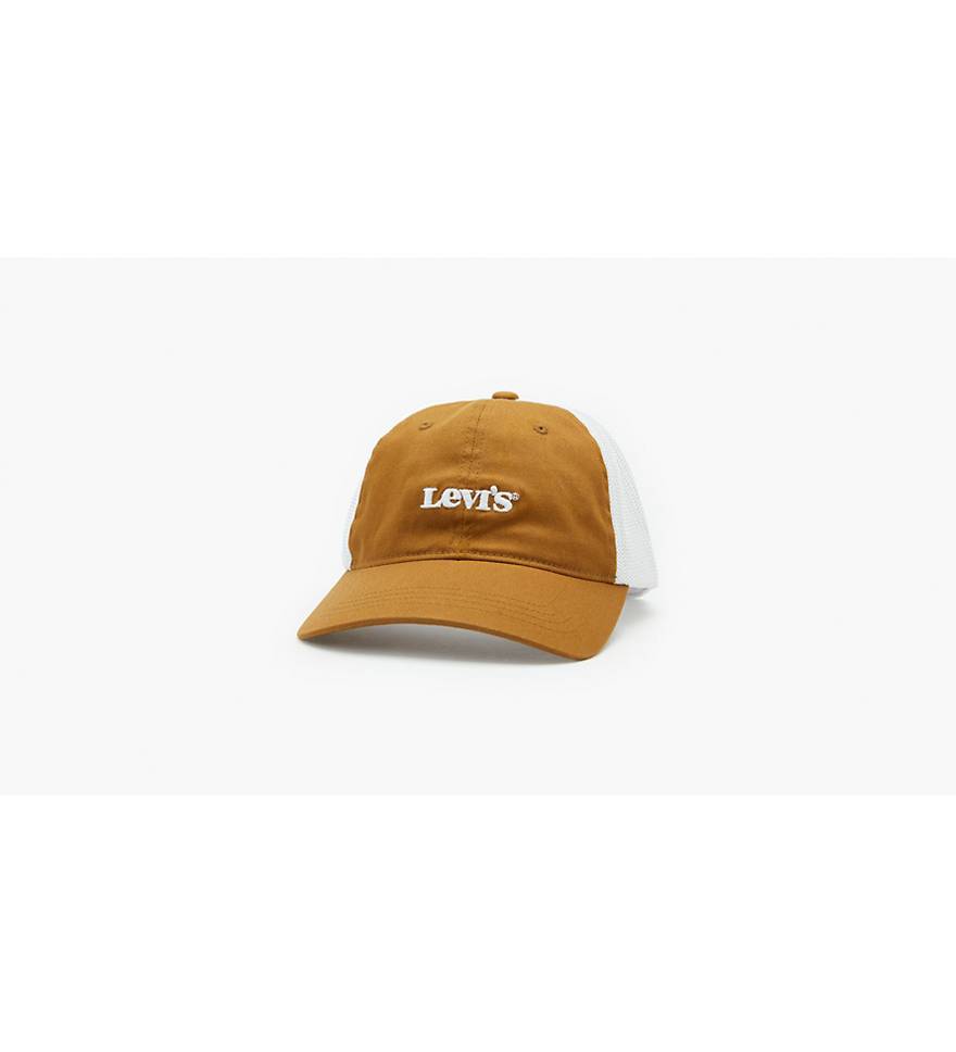 Modern Vintage Levi's® Acid Wash Baseball Cap - Brown | Levi's® US