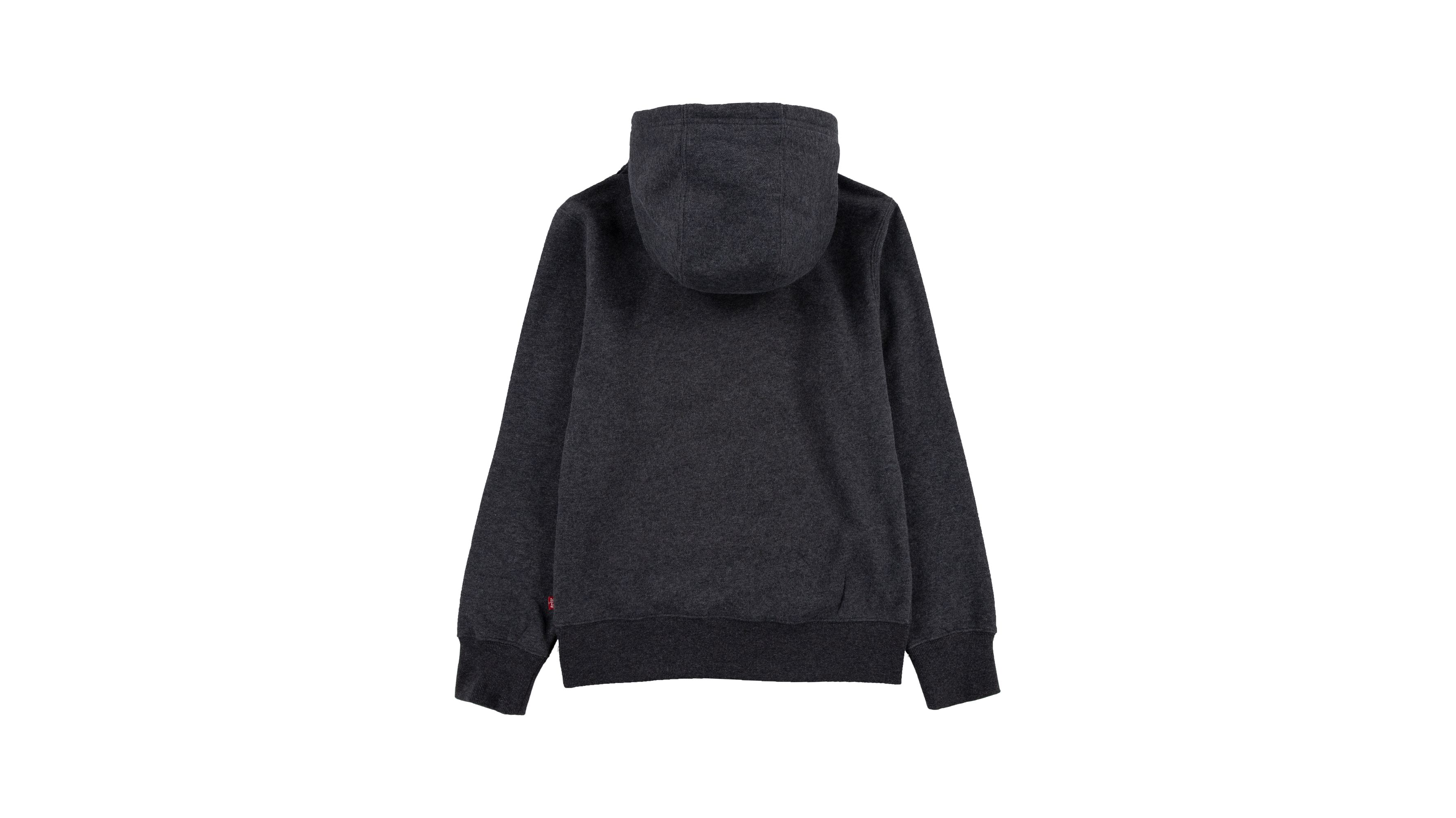 Big Boys S-XL  Levi's® Serif Hoodie 2
