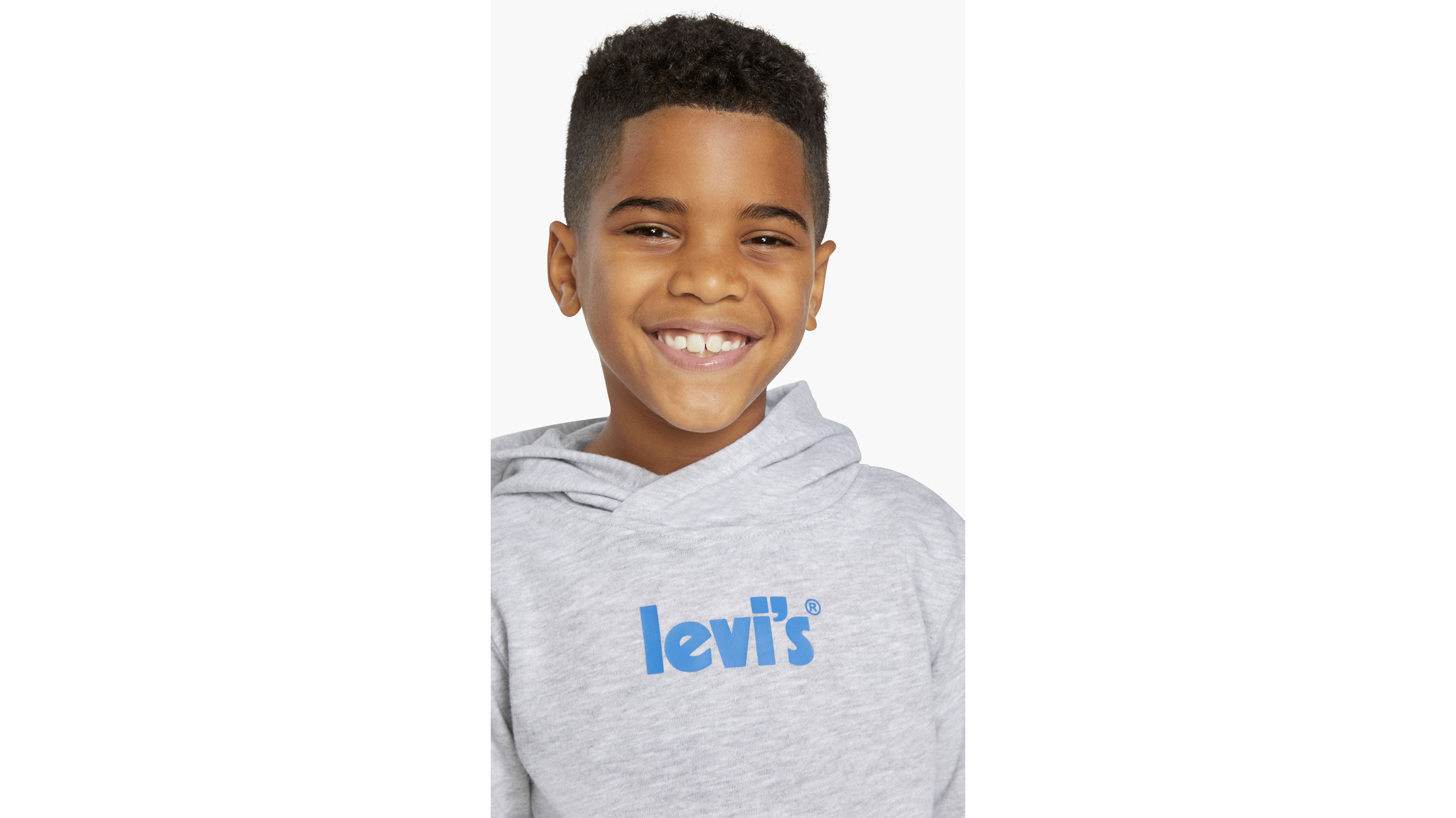 Little Boys Levi's® Logo Pullover Hoodie Sweatshirt 47 Grey Levi's® US