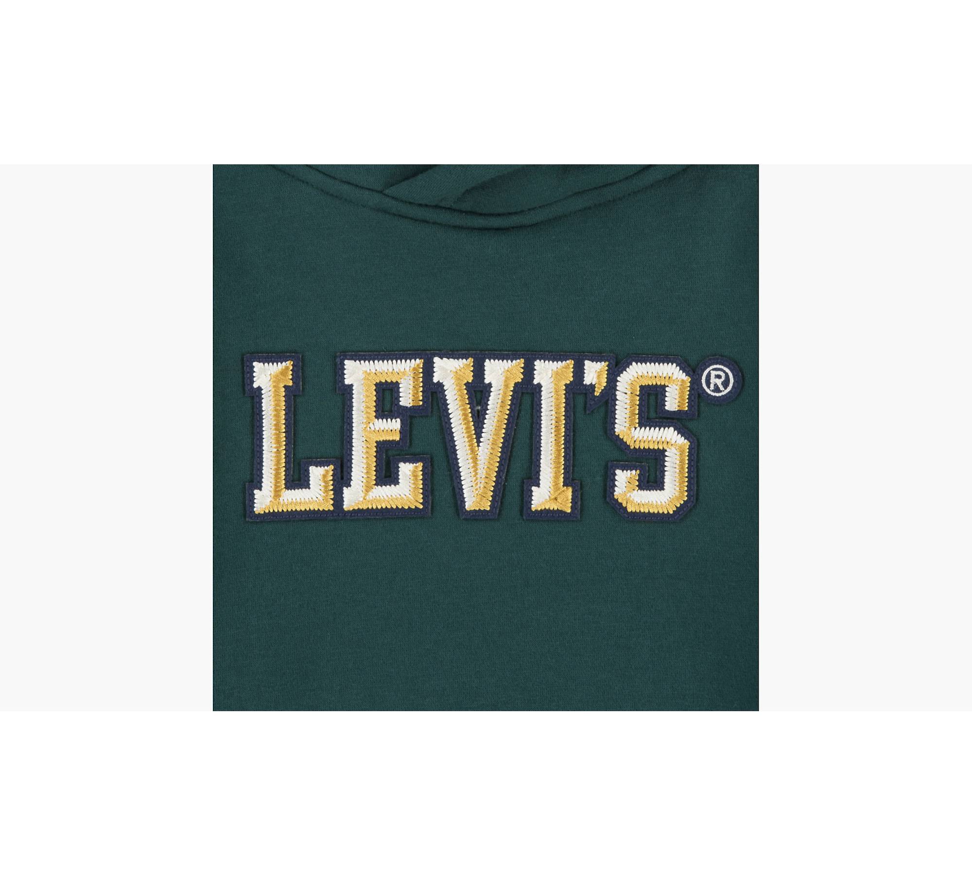 Levi's® Sherpa Lined Pullover Big Boys Hoodie S-xl - Green