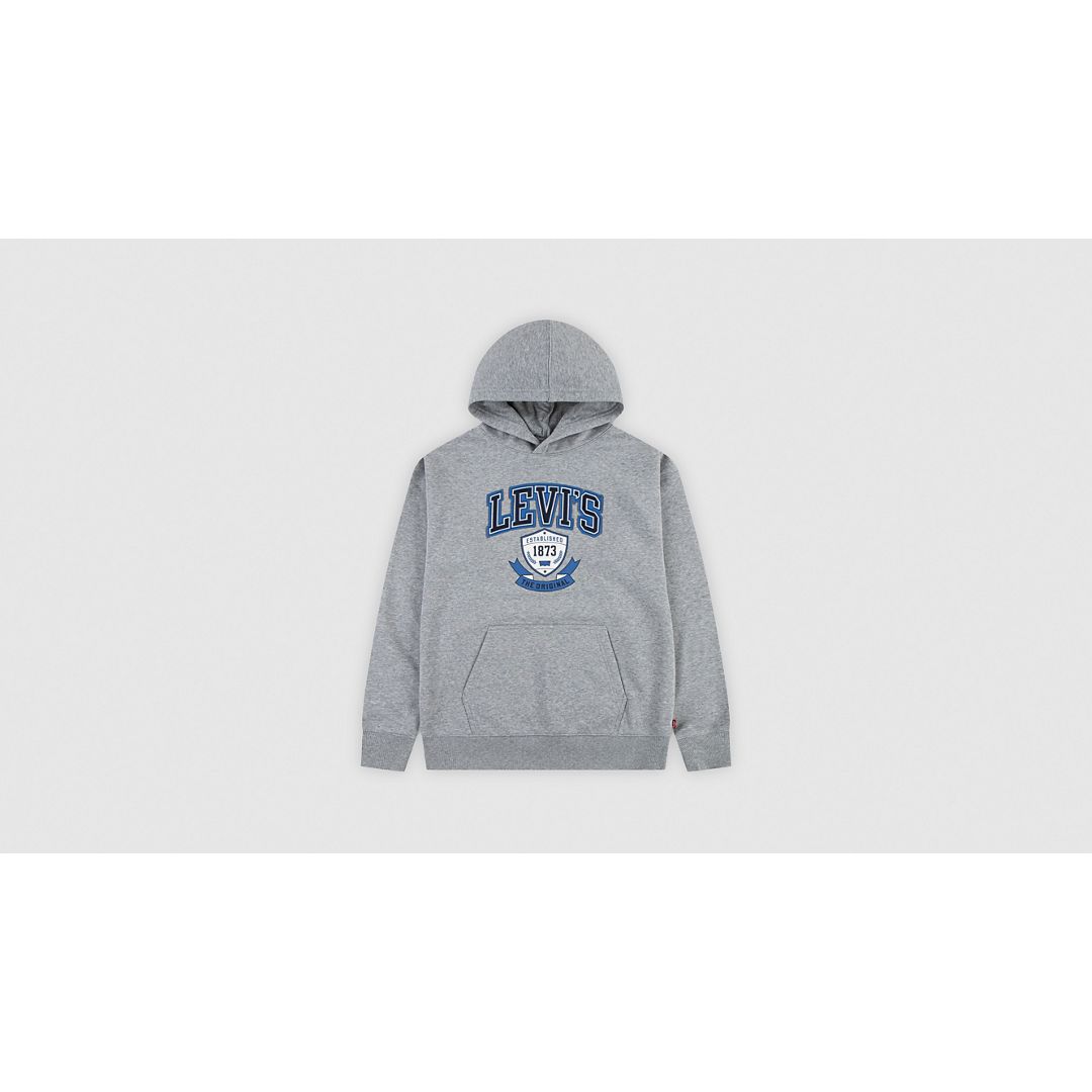 Levi's Authentic Prep Hoodie Little Boys 4-6x 7 In Gray