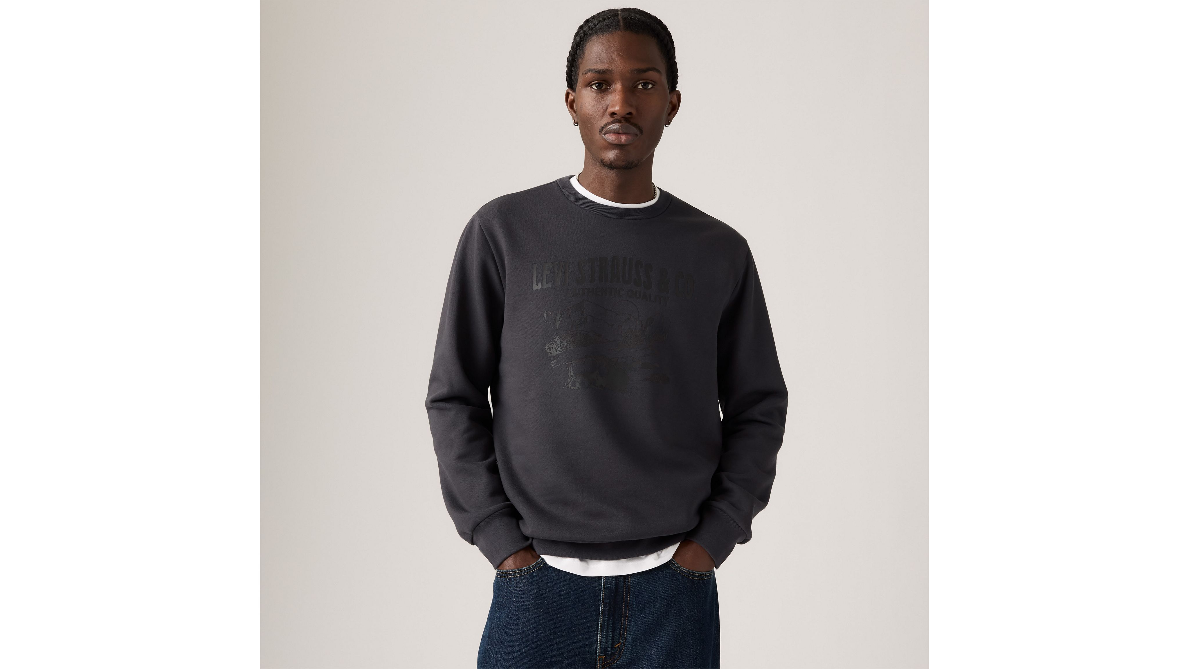 Levi's Standard Graphic Crewneck Sweatshirt In Blue