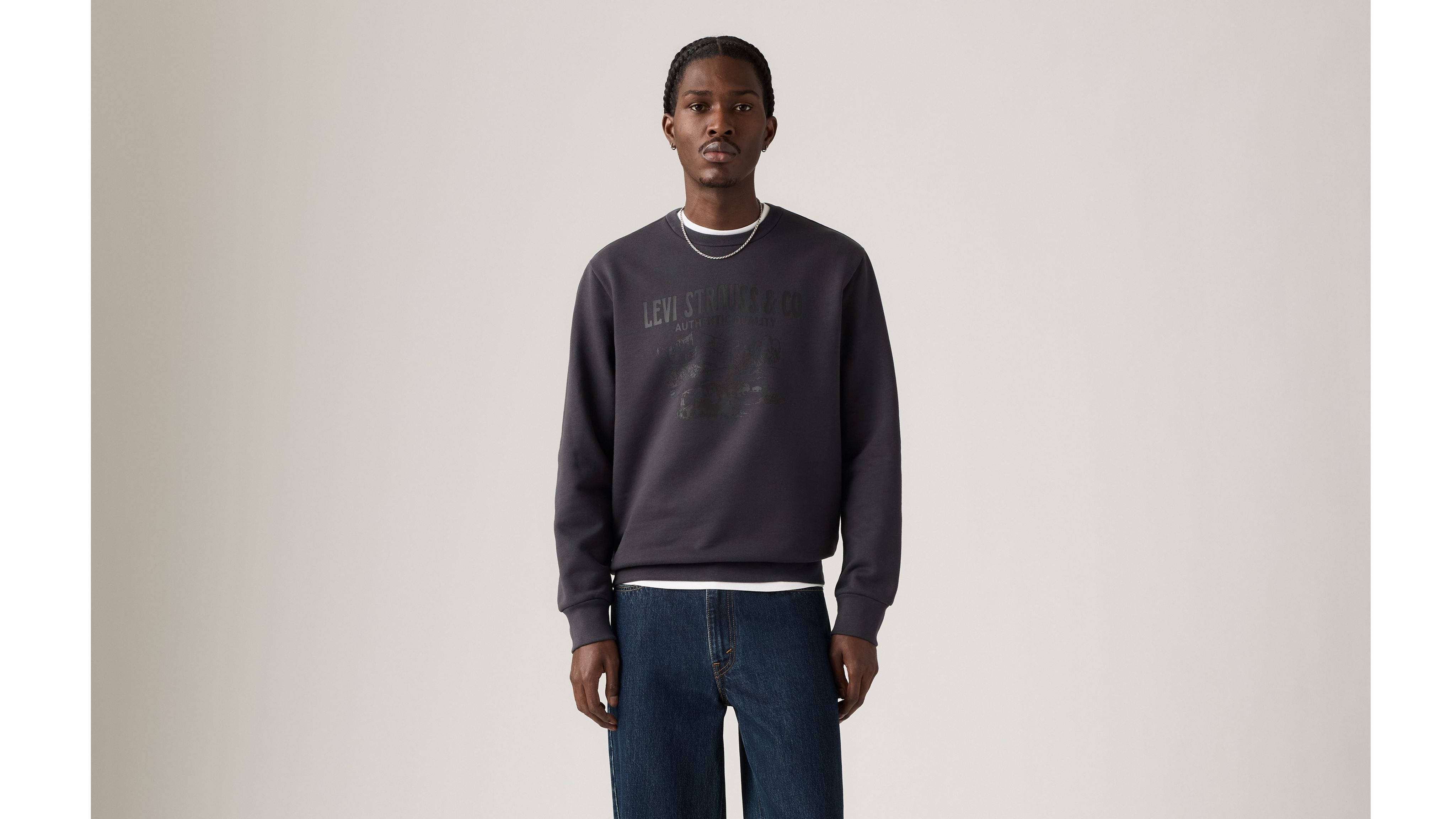 Levi's Standard Graphic Crewneck Sweatshirt In Blue