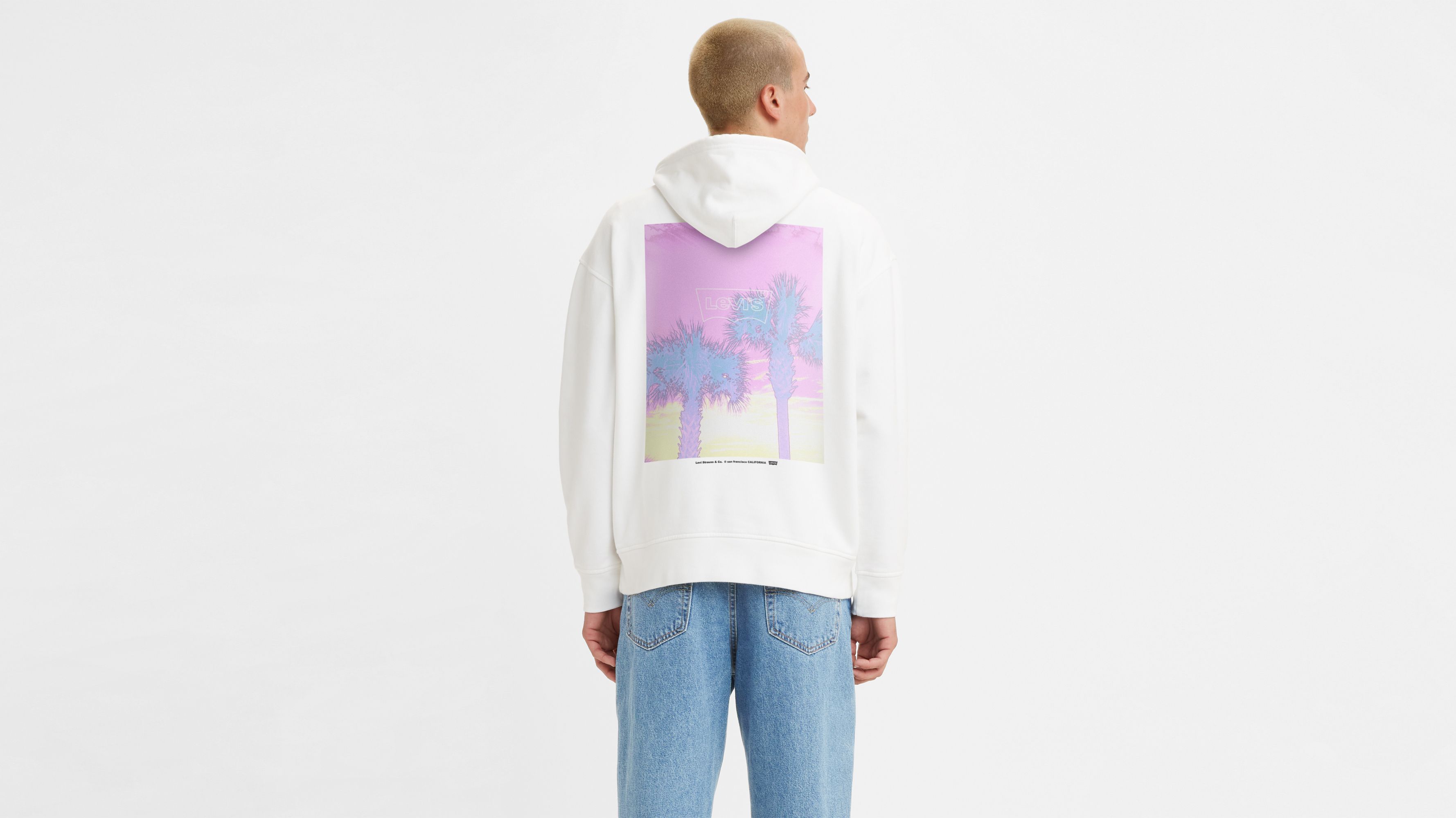 Levi's best sale rainbow hoodie