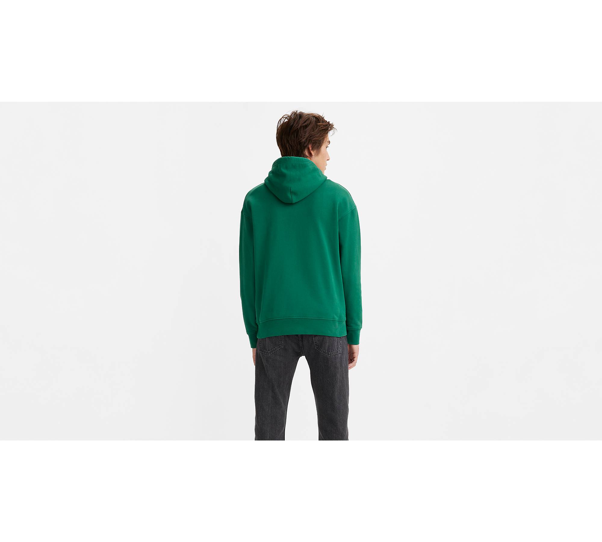 Levi's Big & Tall Relaxed Fit Graphic Pullover Hoodie In Evergreen