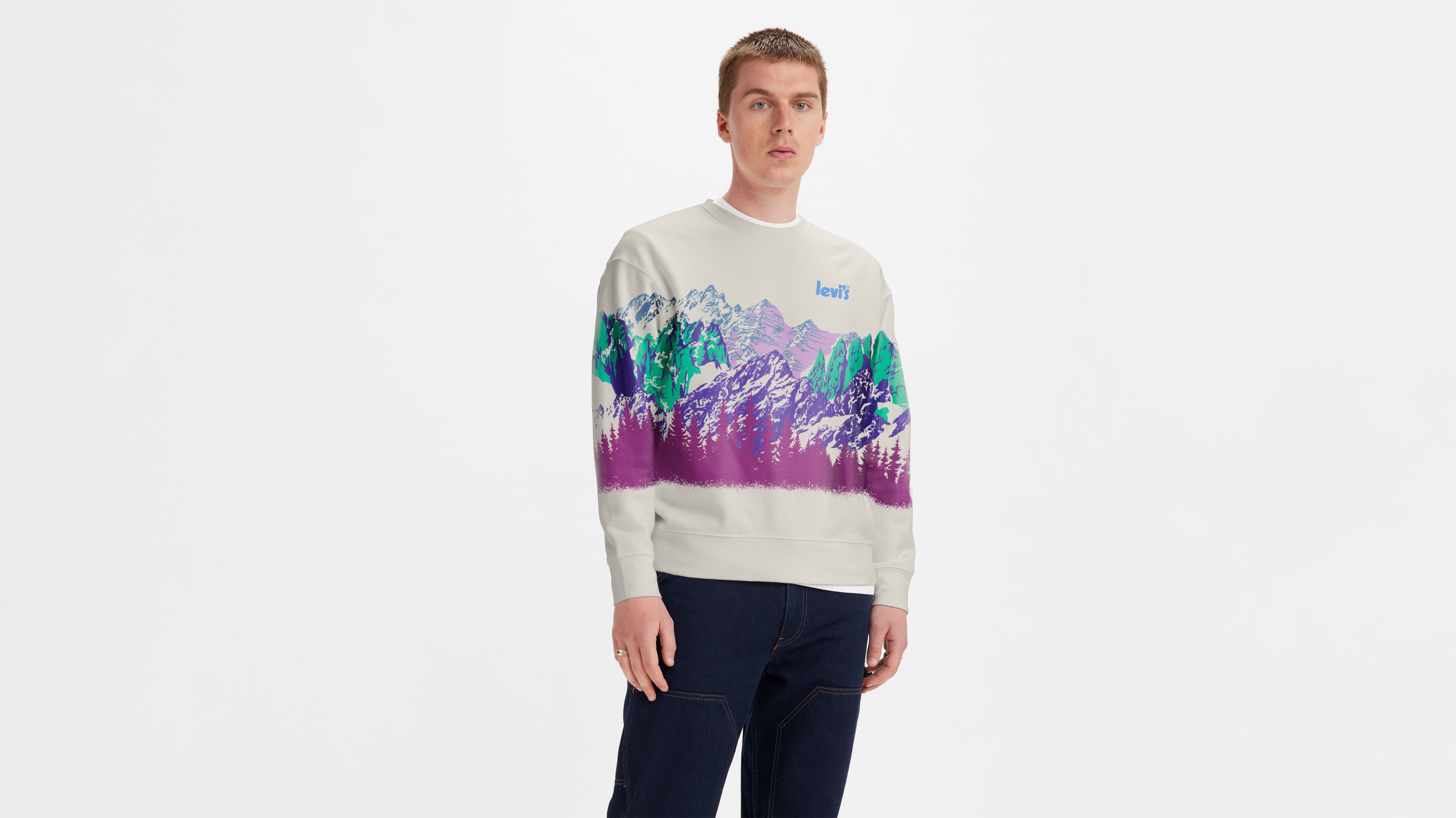 Top 49+ imagen levi’s relaxed graphic crewneck sweatshirt