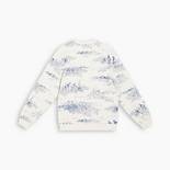 Relaxed Fit Graphic Crewneck Sweatshirt 6