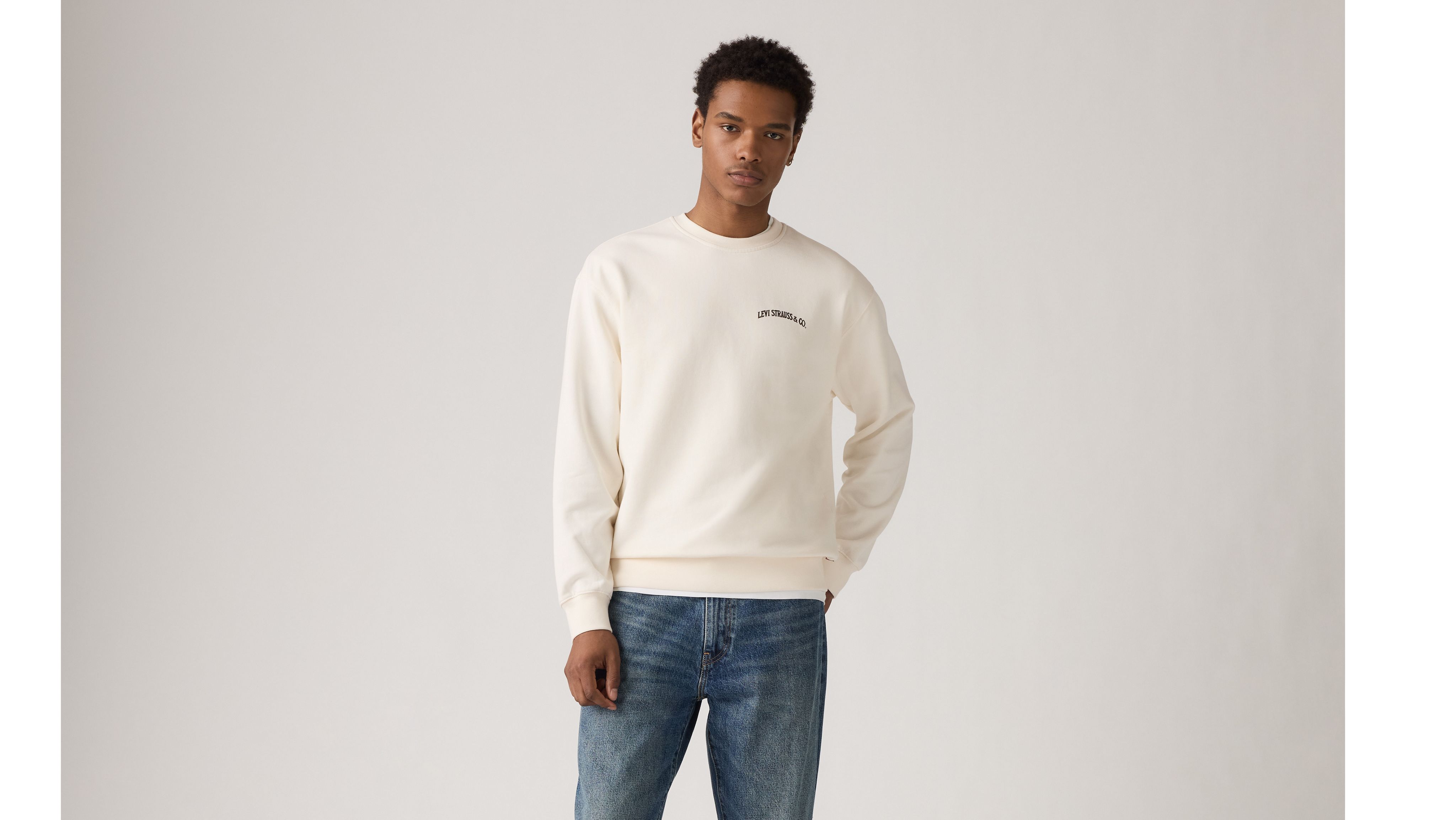 Levi's Relaxed Graphic Crewneck Sweatshirt In Neutral