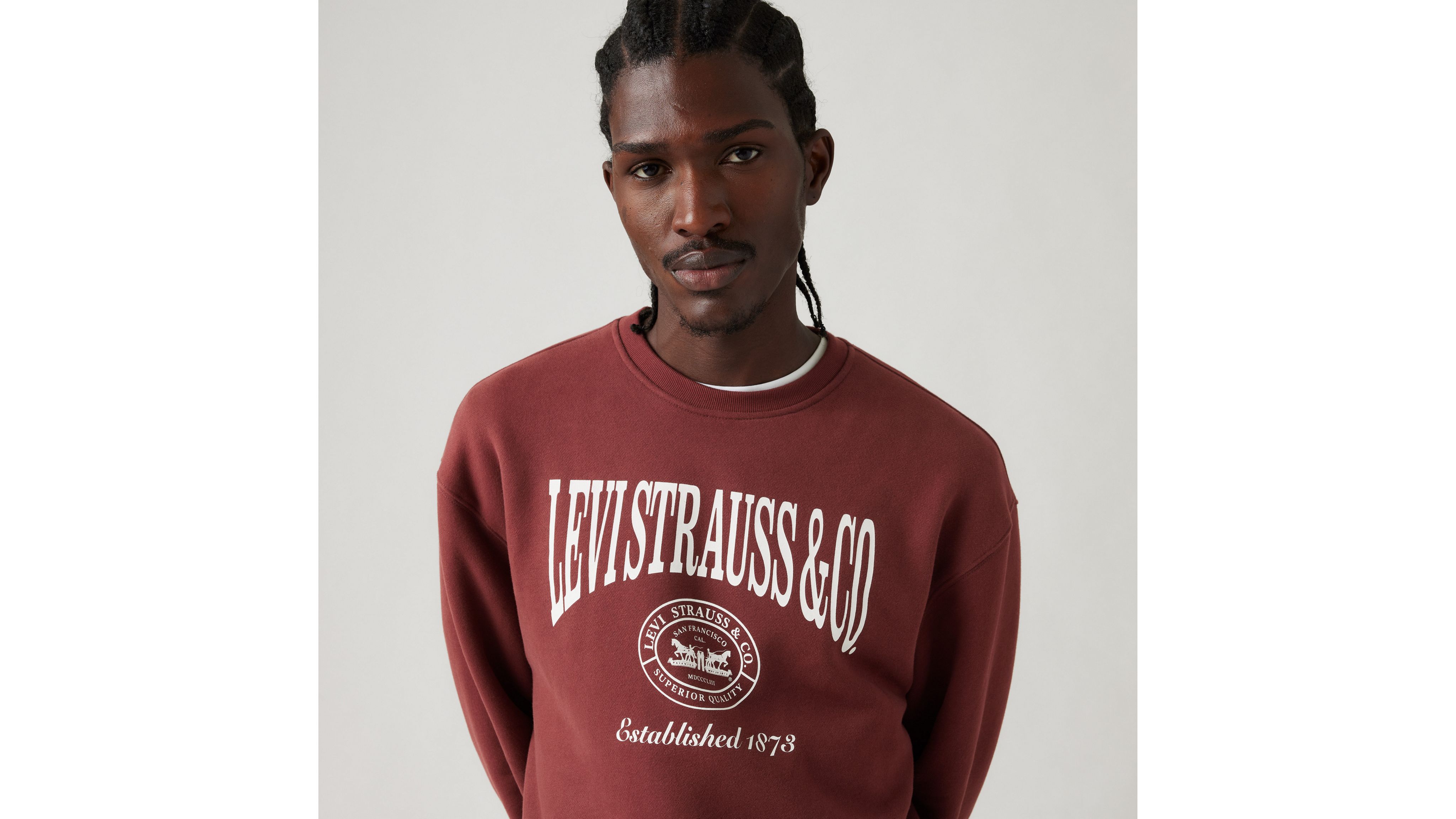 Levi's Relaxed Graphic Crewneck Sweatshirt In Andorra