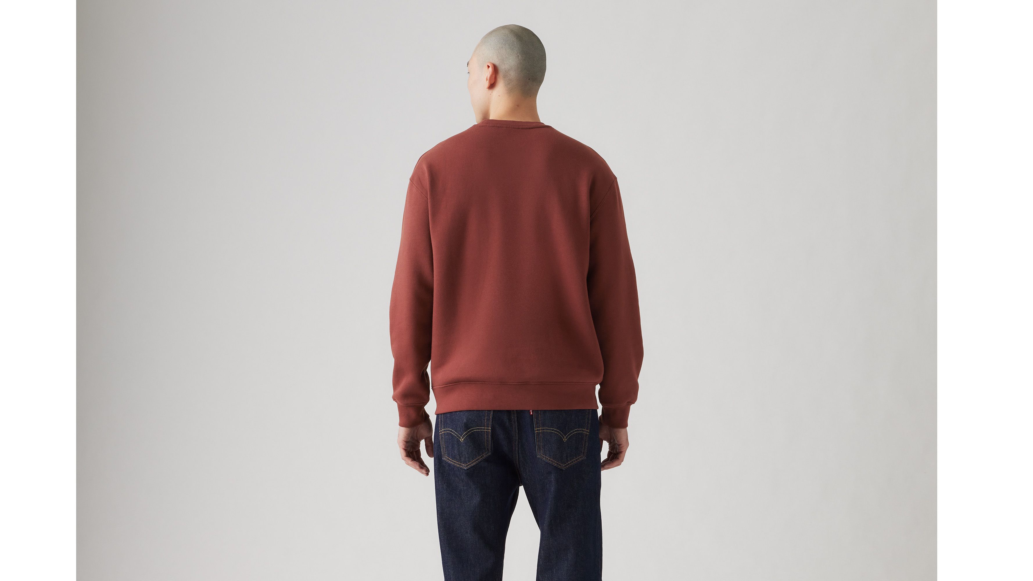 Levi's Relaxed Graphic Crewneck Sweatshirt In Andorra