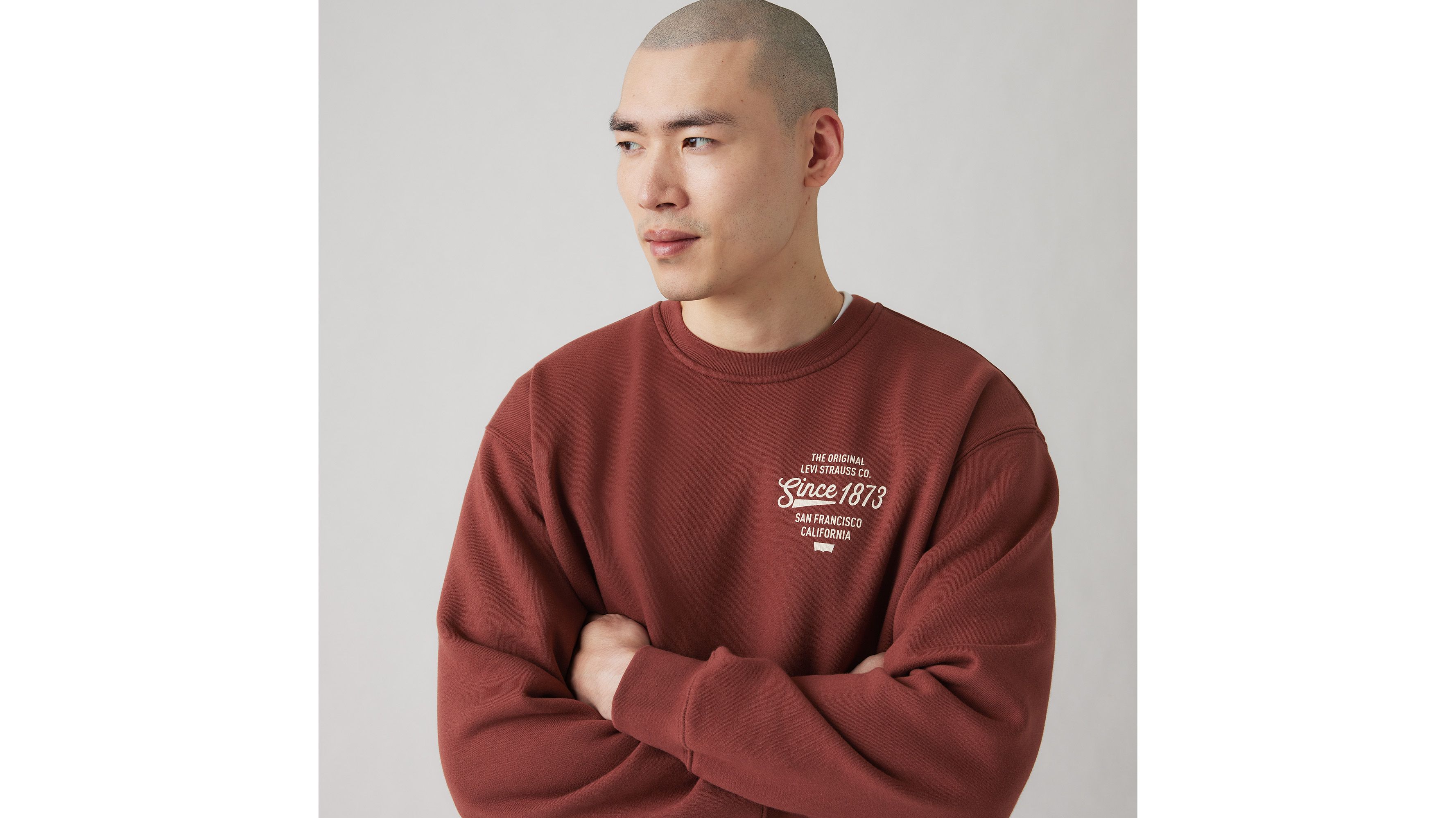 Levi's Relaxed Graphic Crewneck Sweatshirt In Andorra