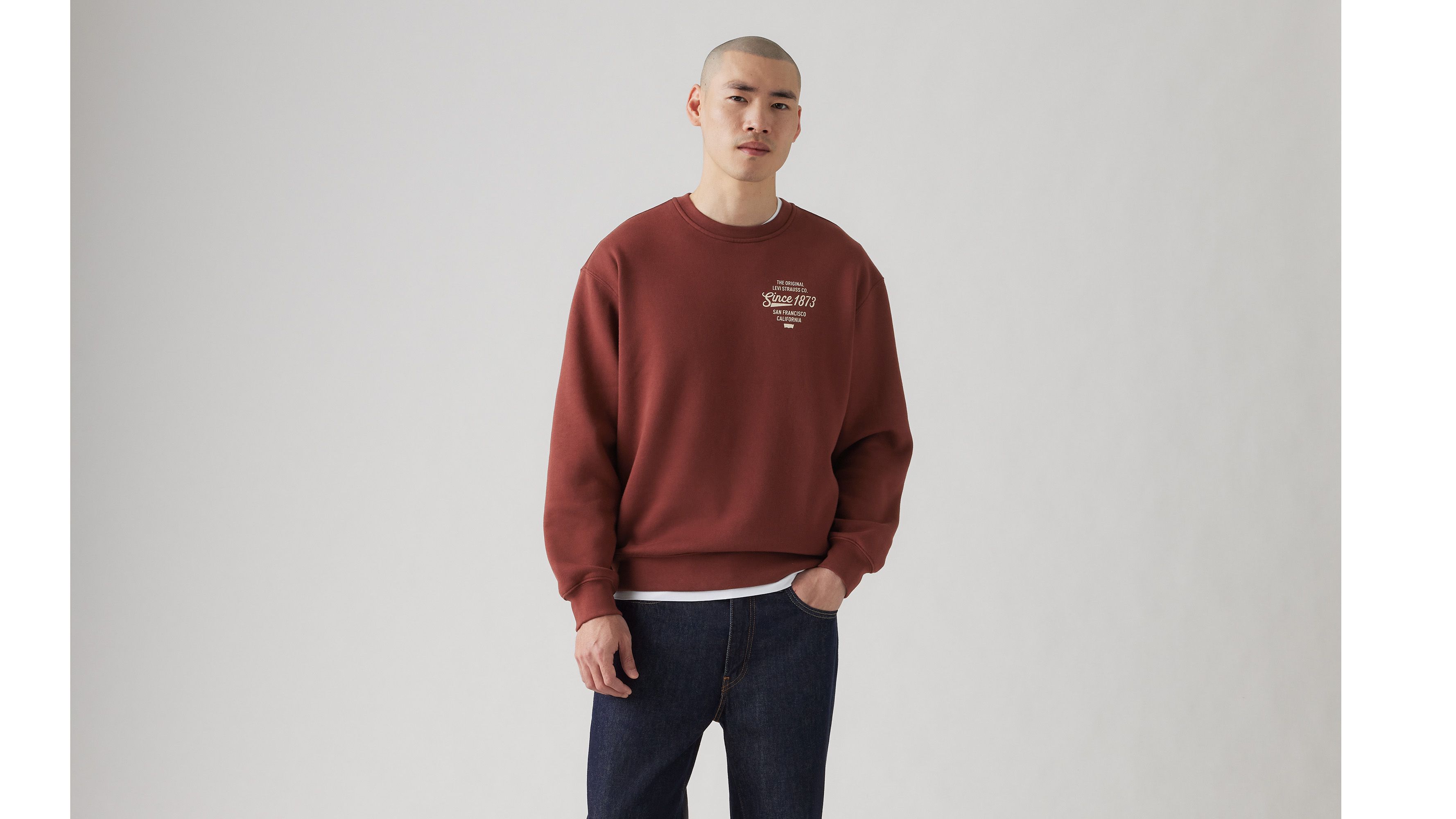 Levi's Relaxed Graphic Crewneck Sweatshirt In Andorra