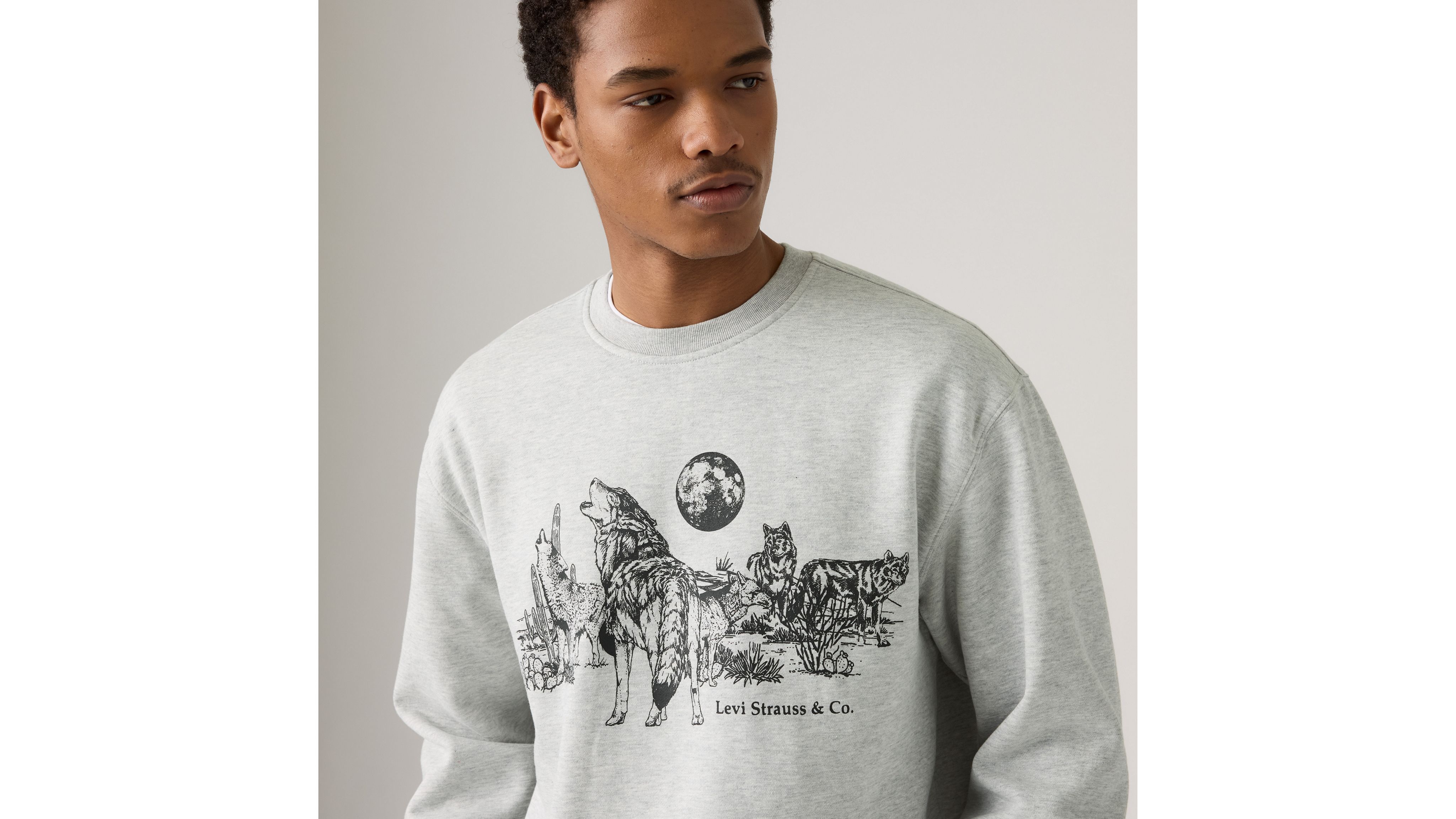 Levi's Relaxed Graphic Crewneck Sweatshirt In Gray