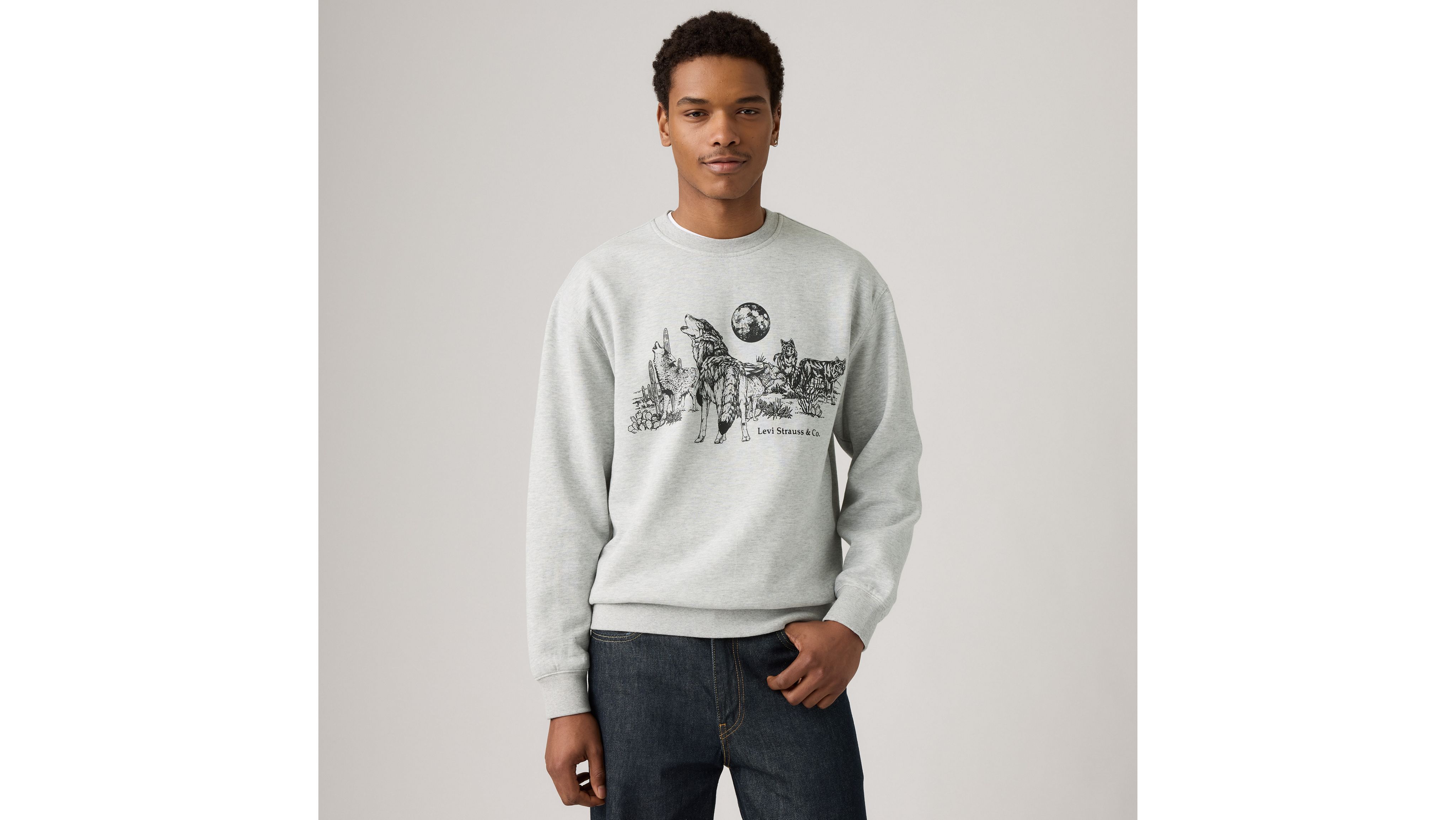 Levi's Relaxed Graphic Crewneck Sweatshirt In Gray