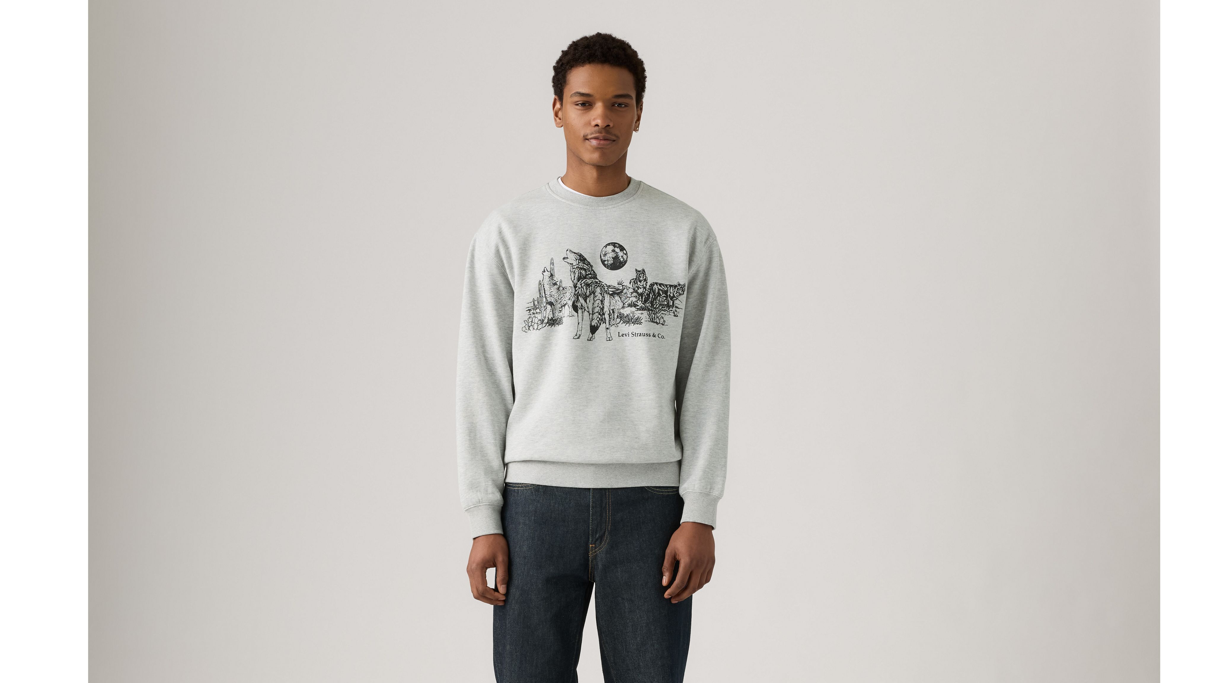 Levi's Relaxed Graphic Crewneck Sweatshirt In Gray