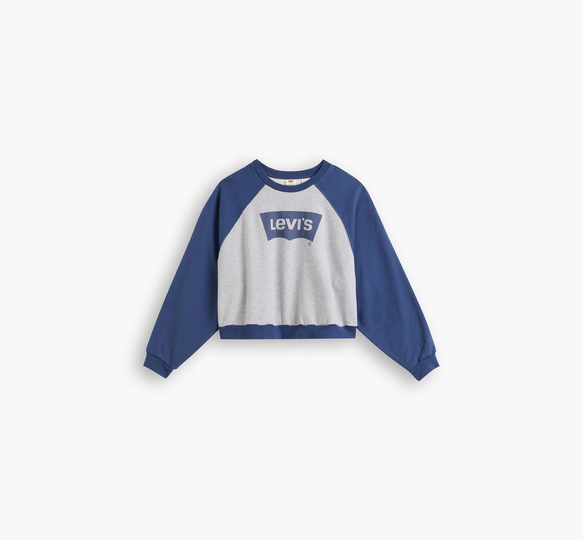 Vintage Raglan Crewneck Sweatshirt (Plus Size) 3