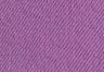 Iris Orchid - Purple - 501® High Rise Women's Colored Denim Shorts