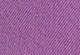 Iris Orchid - Purple - 501® High Rise Women's Colored Denim Shorts