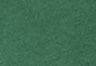 Dark Green Jersey - Green