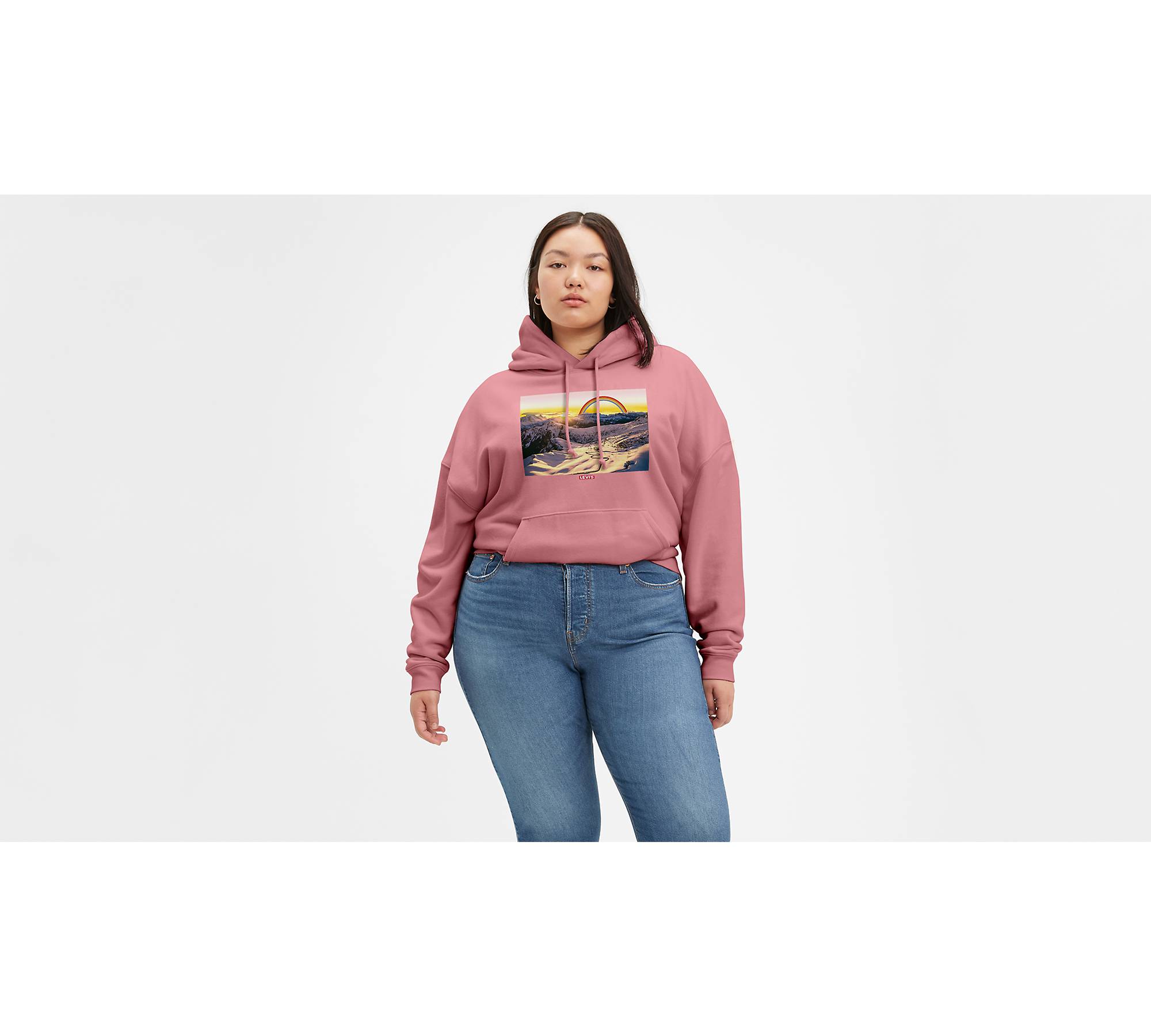 Standard Hoodie Sweatshirt (Plus Size) 1