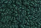 Darkest Spruce - Green - Teddy Sherpa Jacket