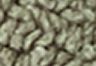 Sea Grass - Green - Teddy Jacket