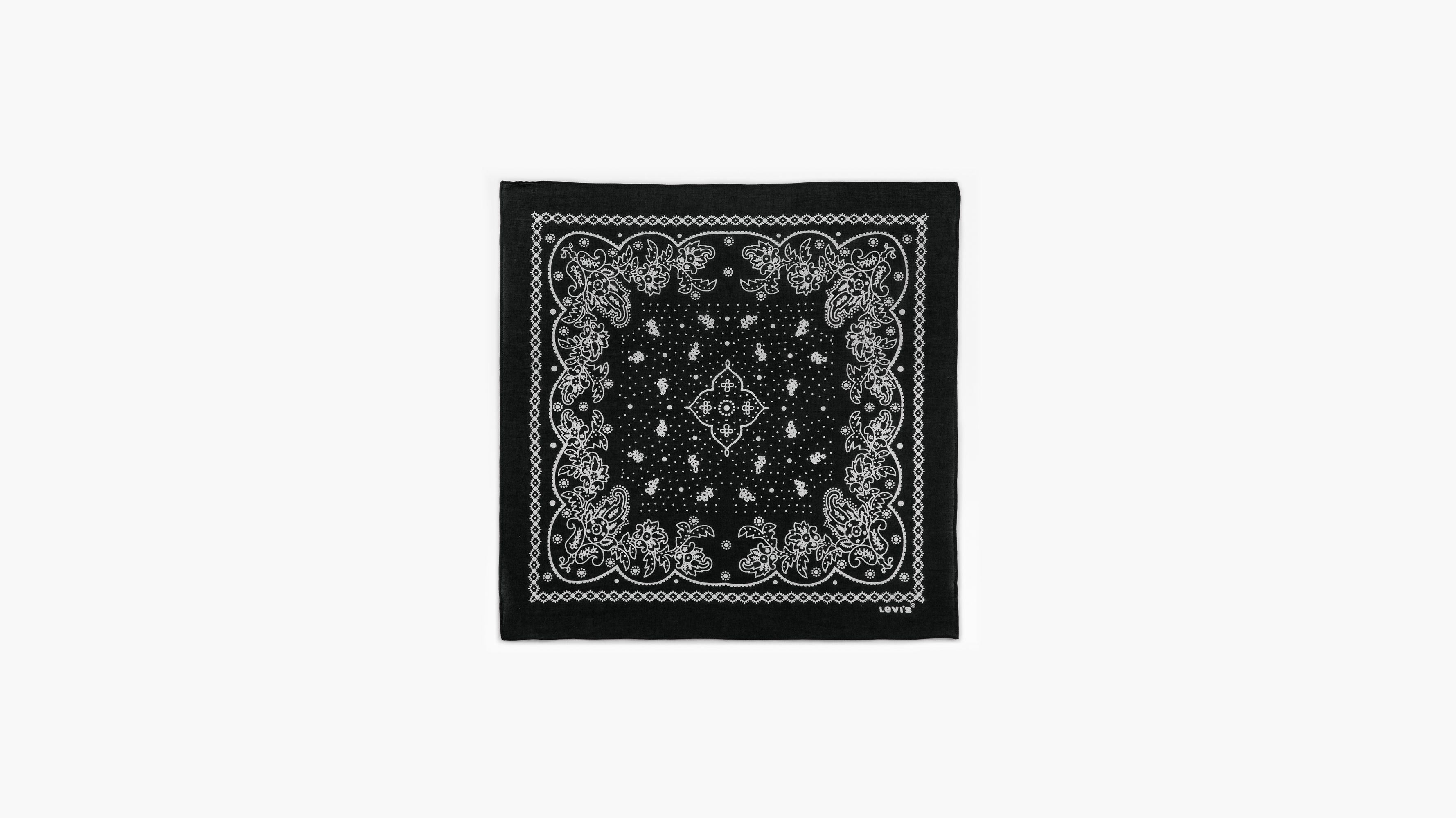 Paisley Bandana 2