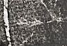 Batik Palm Meteorite - Black - Levi’s® XX Chino Taper Fit Men's Shorts