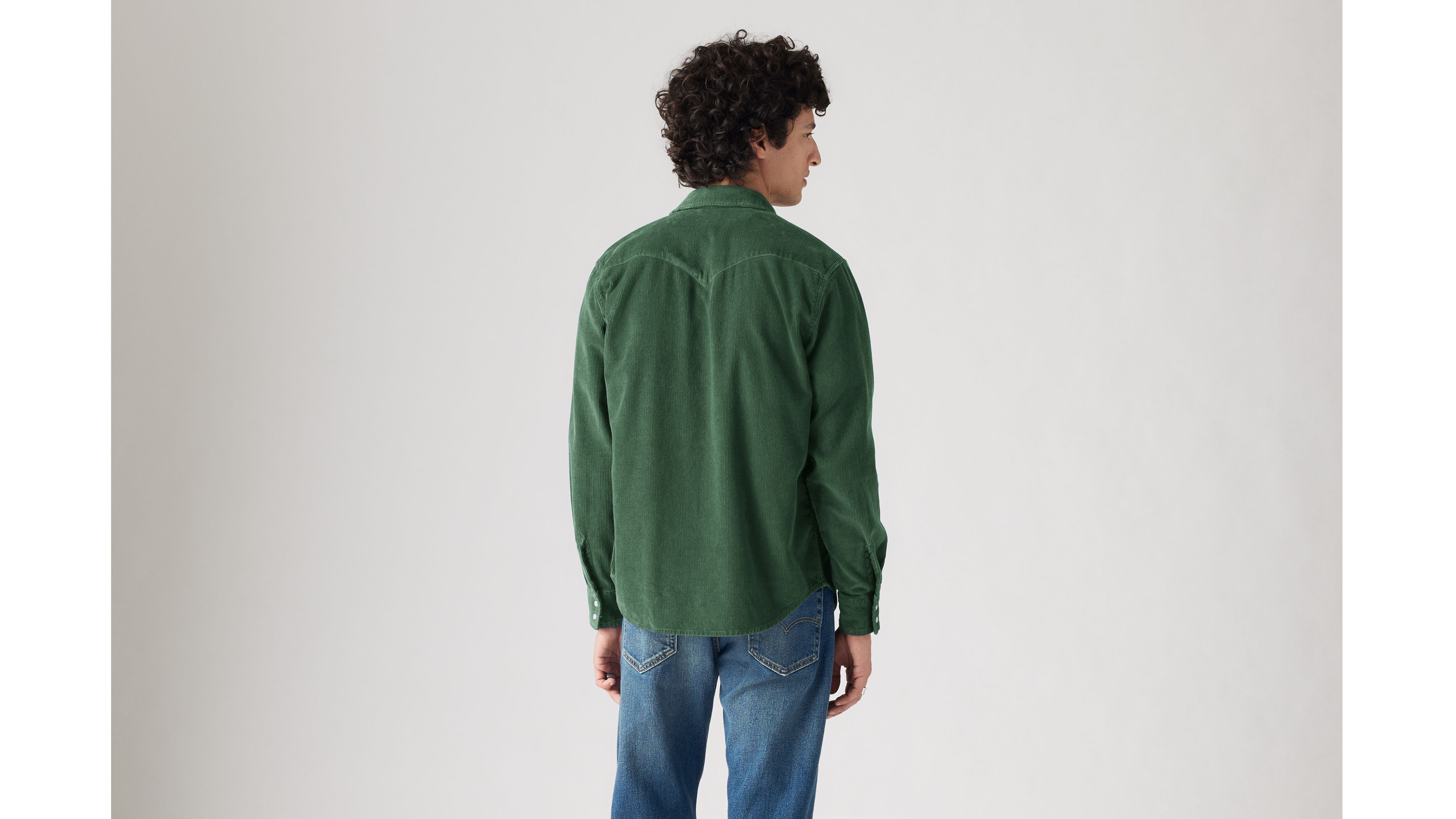 Classic Standard Fit Western Shirt 2