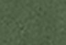 Reenwich Gd - Green - Classic Western Standard Shirt