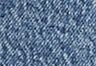 Salsa - Medium Wash - 501® Original Women's Shorts (Plus Size)