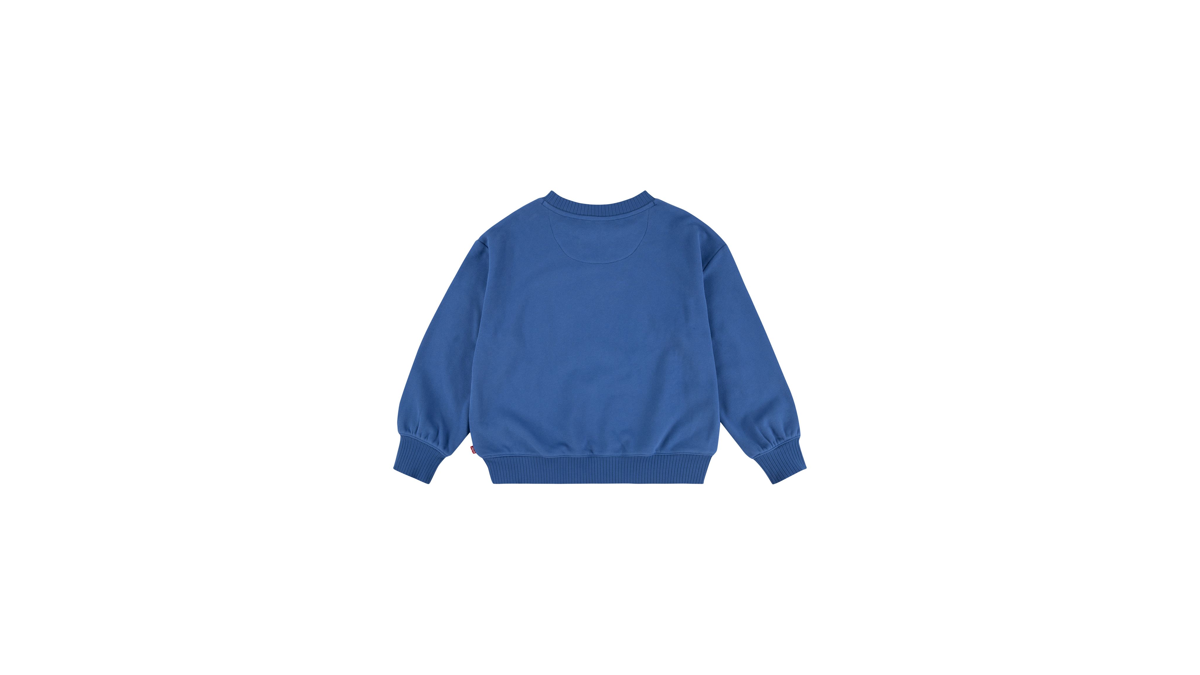 Teenager Coastal Collegiate Crewneck Sweatshirt 3