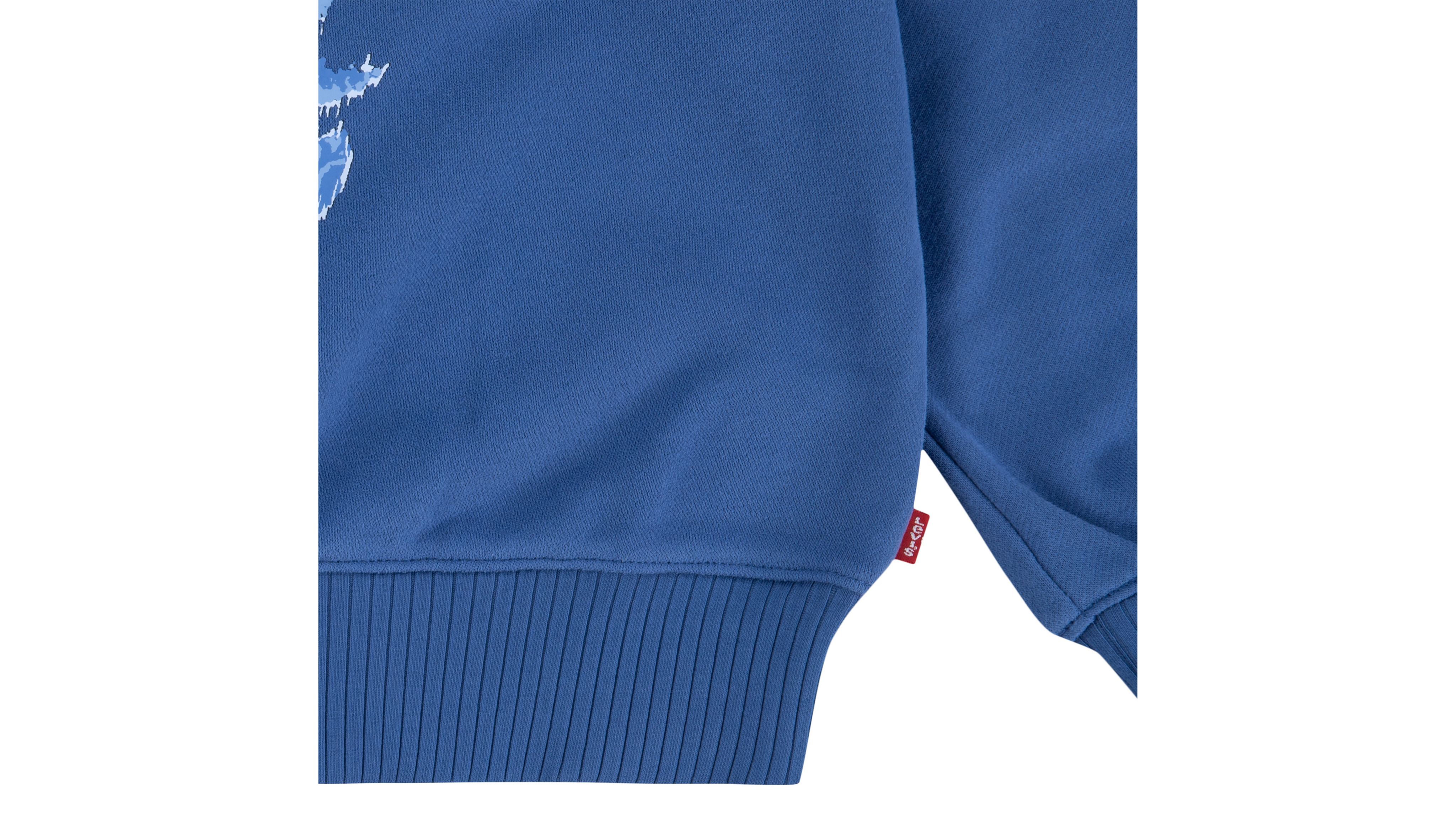 Teenager Coastal Collegiate Crewneck Sweatshirt 5