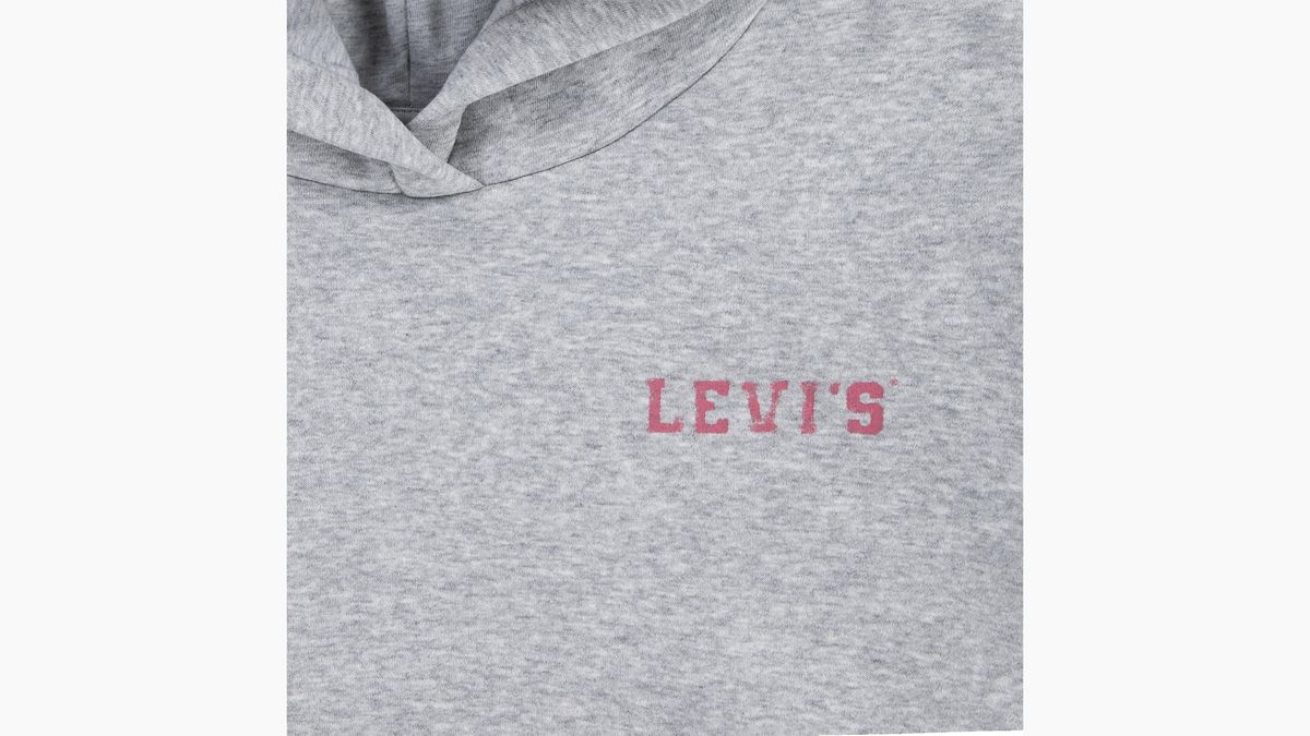 Teenager Levis Collegiate Hoodie — Light Gray Heather - Grey