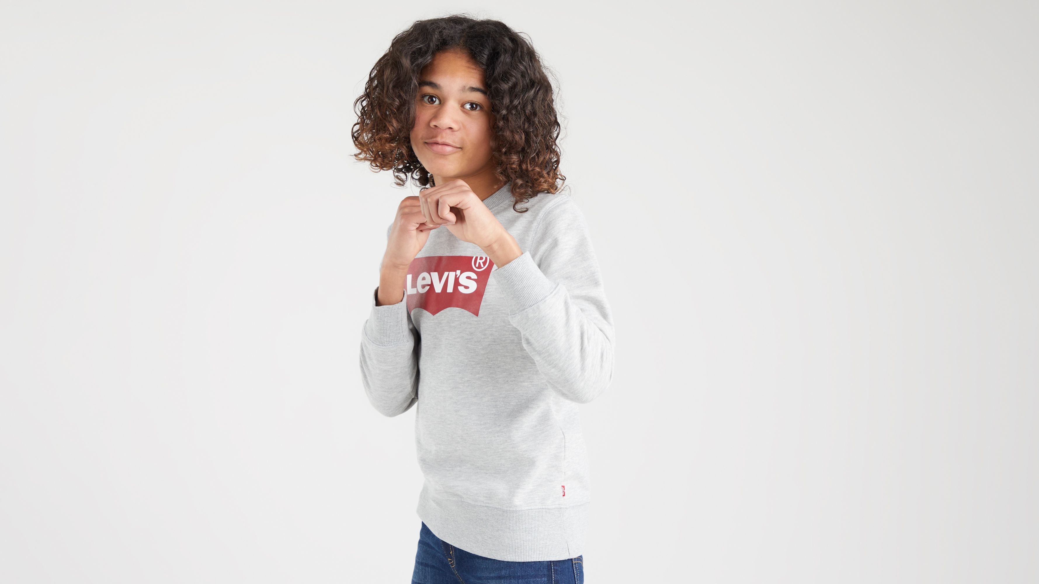 Levis batwing crew sweatshirt sale