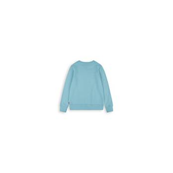 Teenager French Terry Batwing Pullover 5