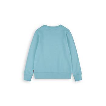Sweat jersey French Terry Batwing 5