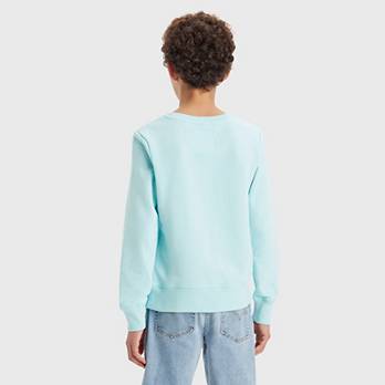 Teenager French Terry Batwing Pullover 2