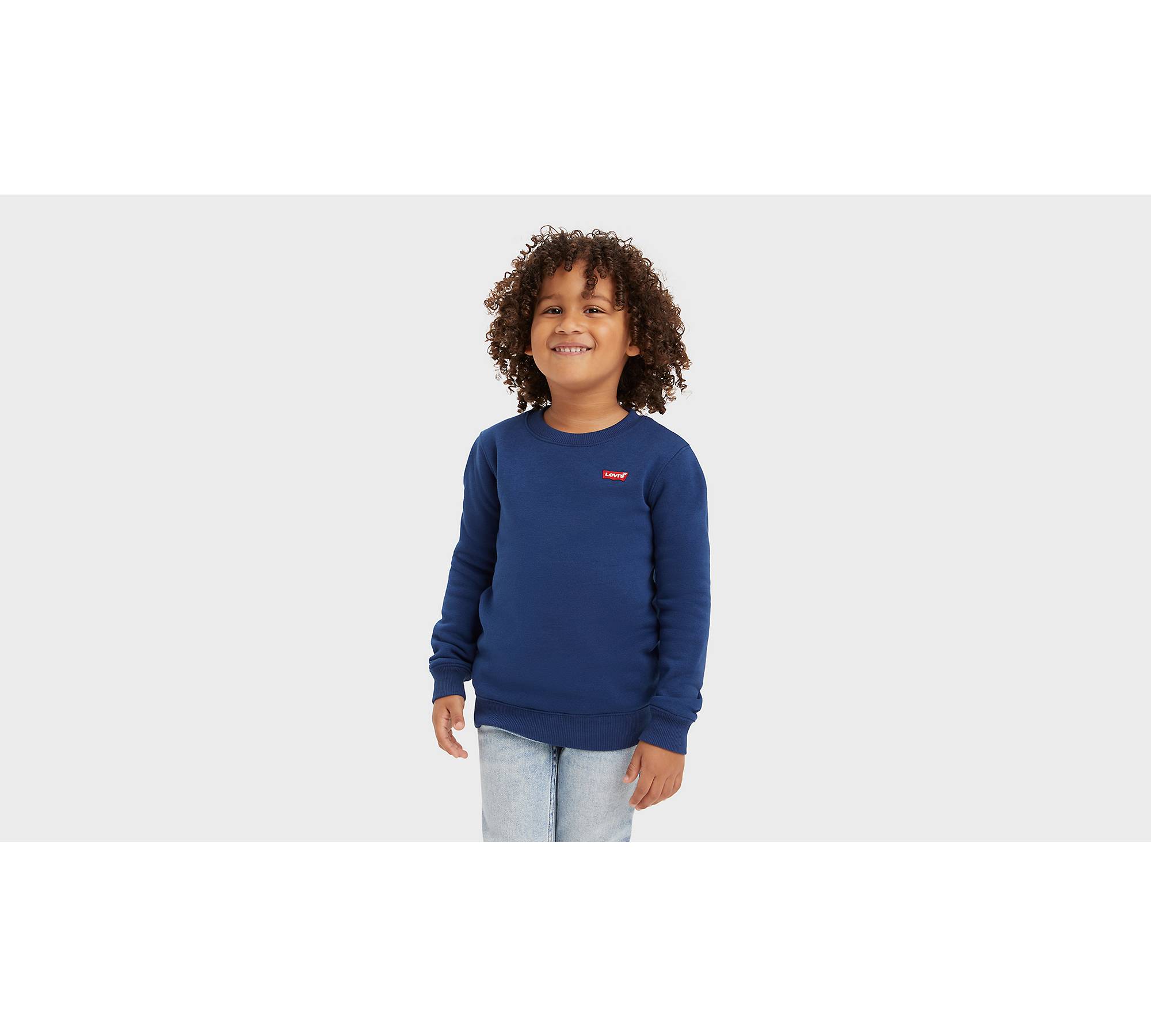 Kinder Sweatshirt mit Mini-Logo und Rundhalsausschnitt 1