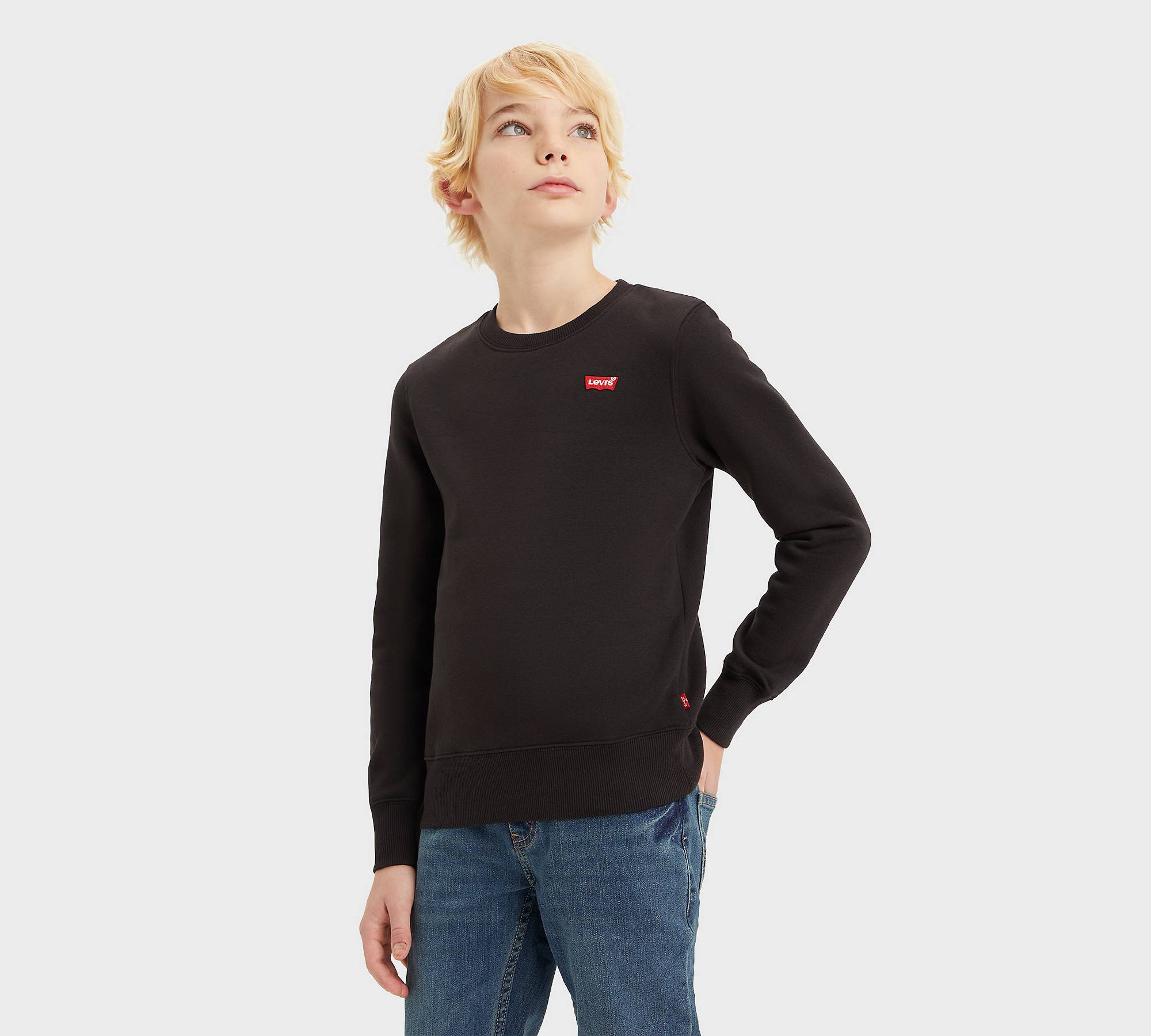 Teenager Sweatshirt mit Mini-Logo und Rundhalsausschnitt 1