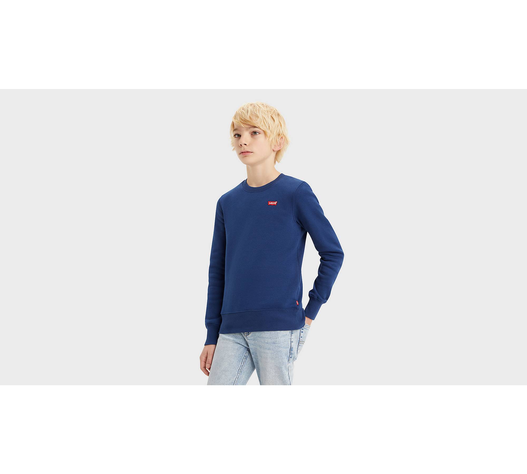 Teenager Sweatshirt mit Mini-Logo und Rundhalsausschnitt 1