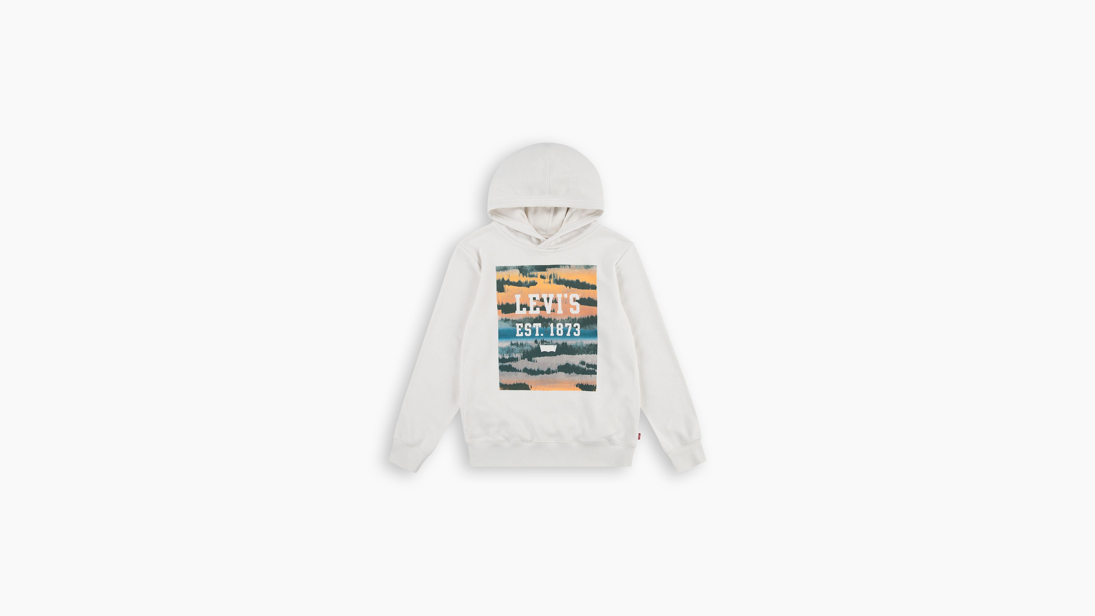 Teenager Landscape Box Hoodie 4