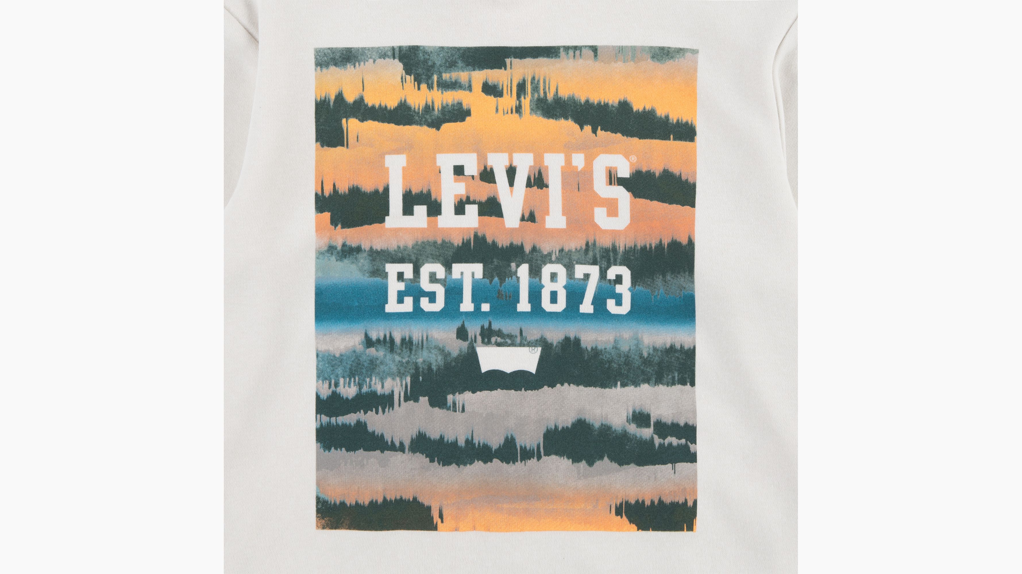 Teenager Landscape Box Hoodie 6